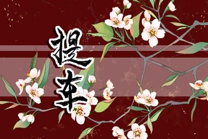 2026年01月15日提车行不行 提新车有问题吗？
