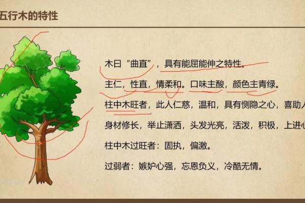 大林木命的五行属性与性格特点解析