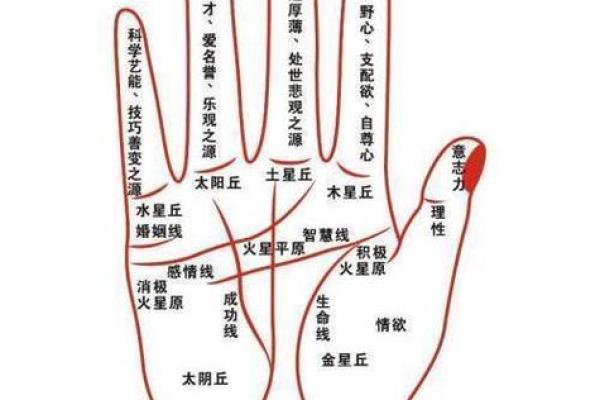 贵命格对人生运势的深远影响