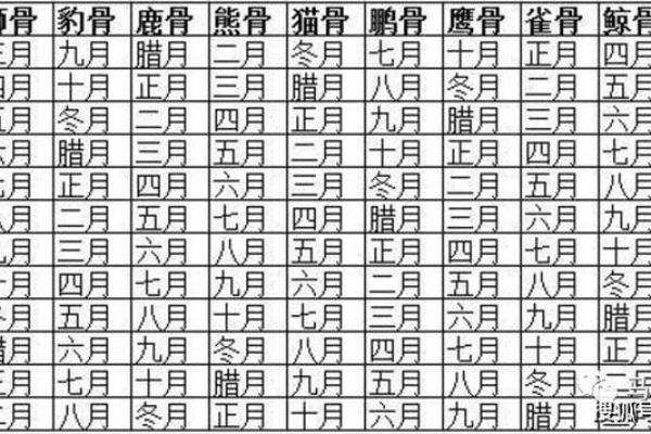 冬月运解析：揭开命理背后的深层含义