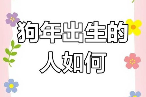 狗属相命运解析