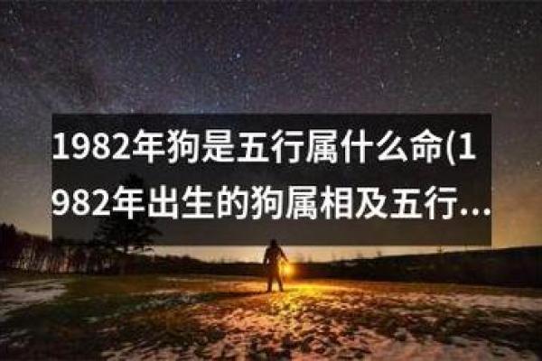 狗在五行中属于什么命解析