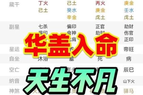 华盖入命与命运的关系揭秘
