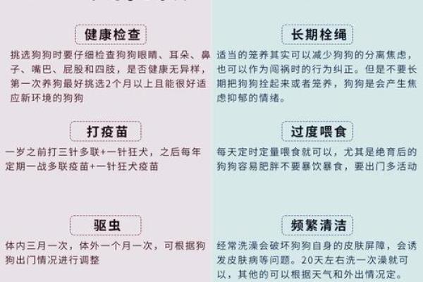 本命年狗男如何调整生活中的优先事项