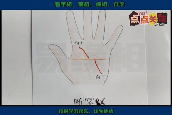 断掌命运与人生走向的神秘解读