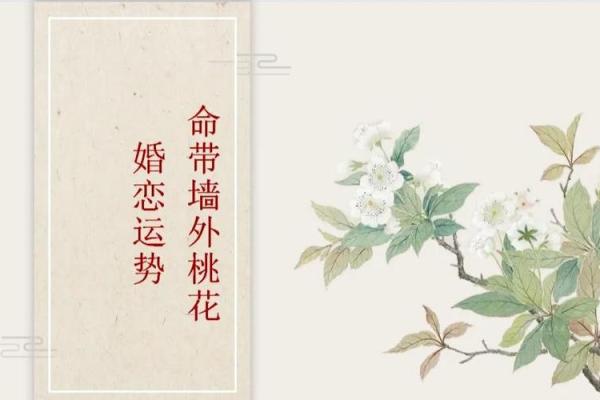 如何从命理角度看待女命桃花的多变