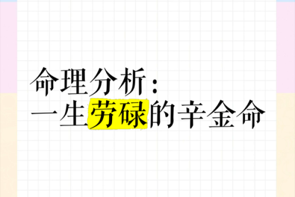 饿金命之人是什么 解析其命理特点与影响