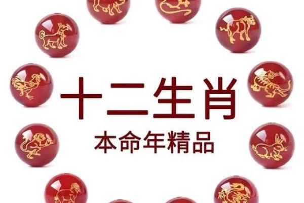属马人在本命年如何提升人际关系