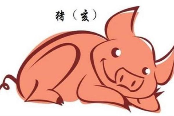本命年属猪如何处理感情纠纷