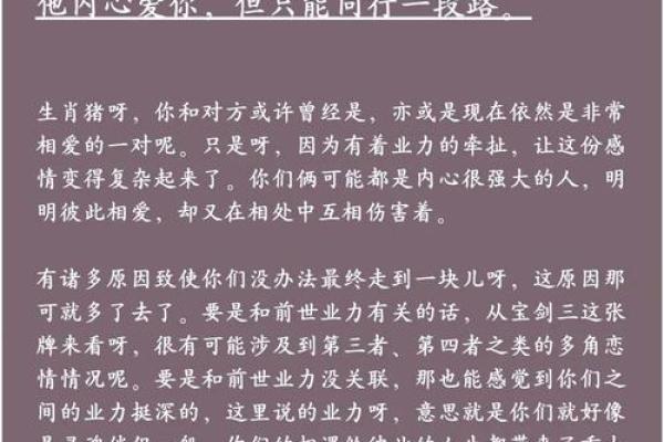 本命年属猪如何处理感情纠纷