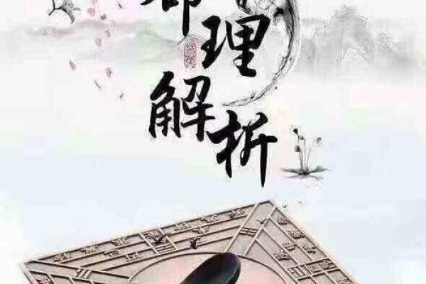 厚风之命背后的命理玄机及其生活启示