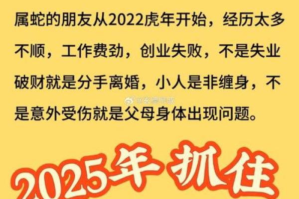 本命年属牛如何应对可能的经济波动