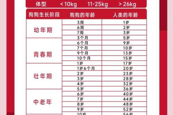 本命年狗男如何适应感情中的波动