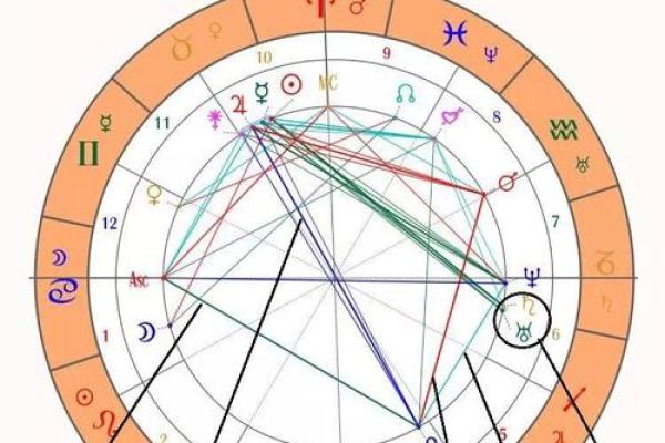 凤凰命格与人生成功的关系揭秘