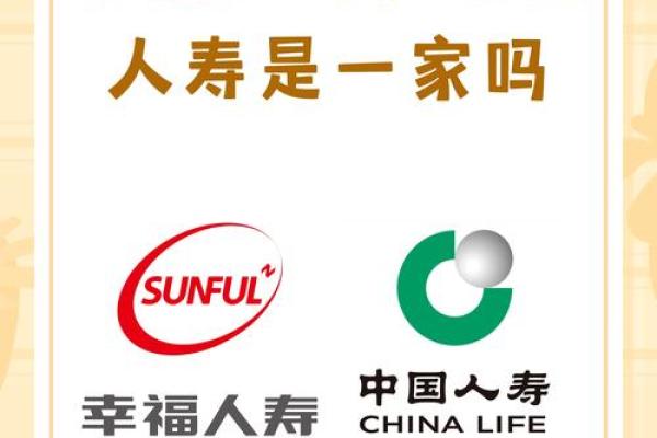福寿无量之命：探索长寿与幸福的深刻含义