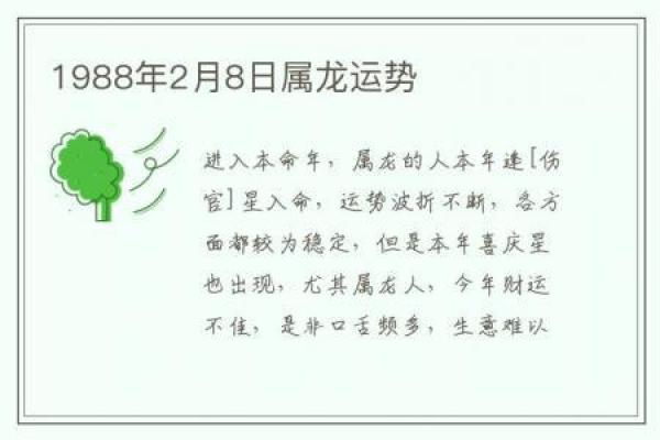 属龙人本命年如何创造更好的生活环境