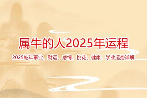 本命年属牛如何创造更多的财富机会
