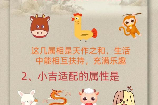 蛇鼠之间的配对是否合适 探究生肖相合之谜