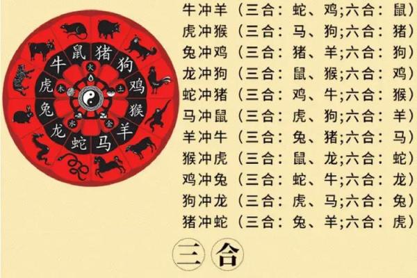 蛇鼠之间的配对是否合适 探究生肖相合之谜