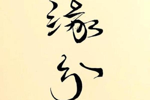 兔与虎的缘分分析：是否能携手共度人生