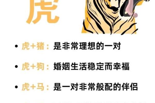 属虎与属狗的配对是否合适解析