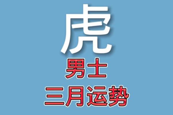 虎男本命年如何迎接挑战