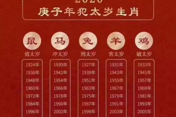属鼠人本命年如何抓住生活机会