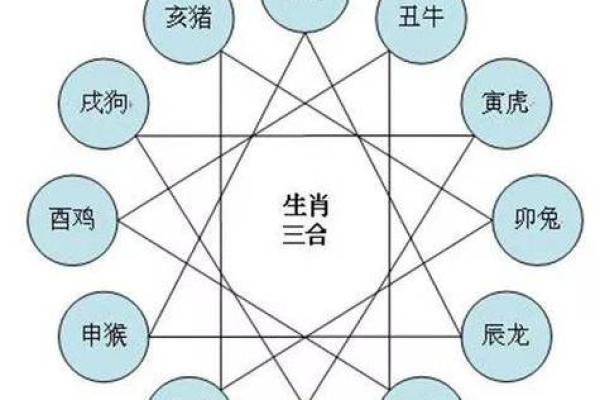 属猴男女配对：理想伴侣还是挑战？