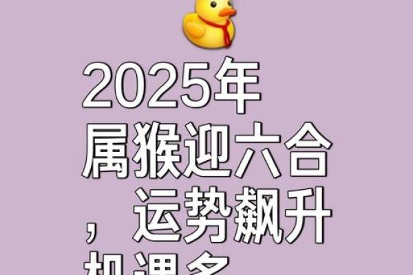 本命年猴女的财富管理秘诀