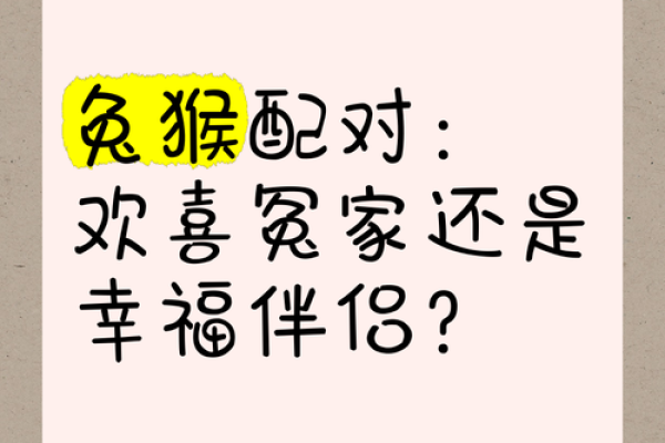 女兔男鸡配对婚姻运势如何？揭示生肖相配的秘密