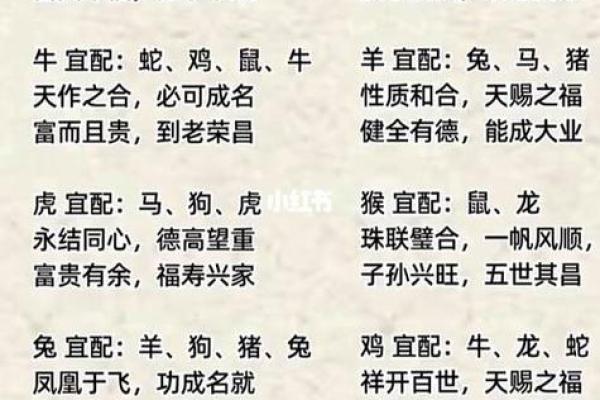 男女生肖配对：男蛇与女马的缘分如何？