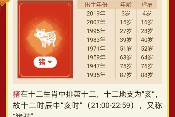 属猪人本命年应该做哪些事情