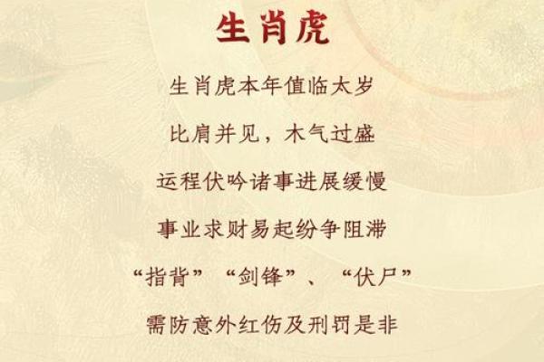本命年虎男如何避免事业困境