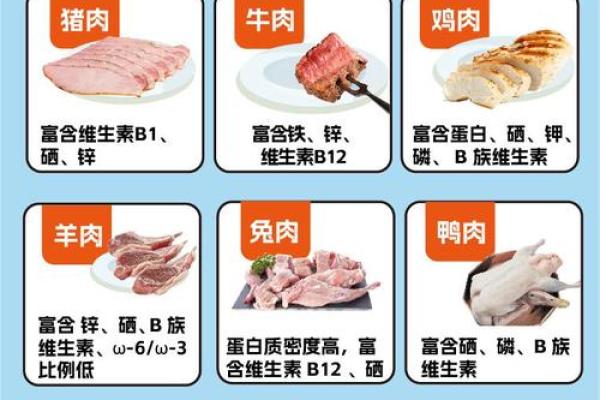猪和鸡能和谐共处吗 如何理解它们的关系
