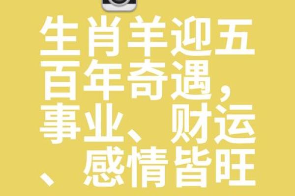 本命年属羊人如何增进家庭幸福感