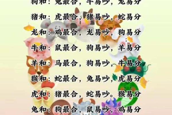 属马人和哪些生肖相配最和谐