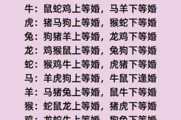 属马人和哪些生肖相配最和谐