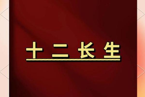 的命运密码：时代印记与个人奋斗