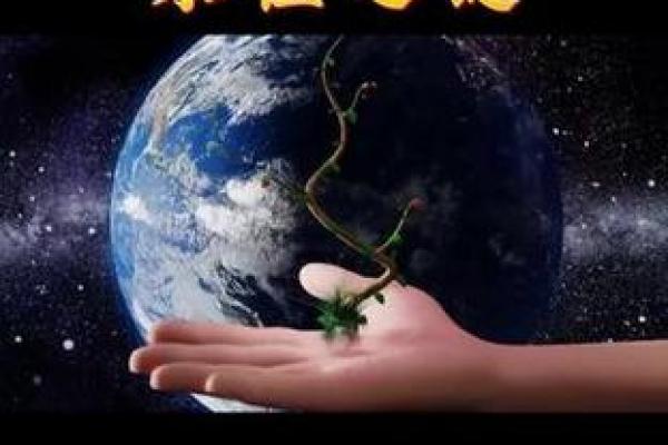 的命运密码：时代印记与个人奋斗