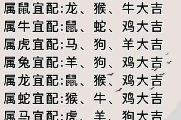 男属兔女属虎的婚姻配对分析及相处建议