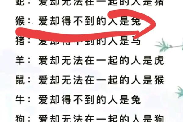 男兔女狗的爱情契合度如何