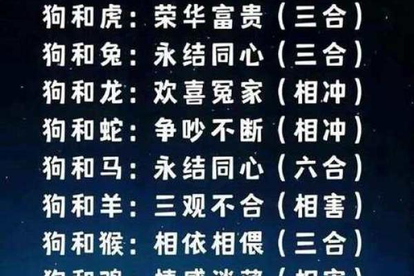 狗与鼠性格冲突还是互补