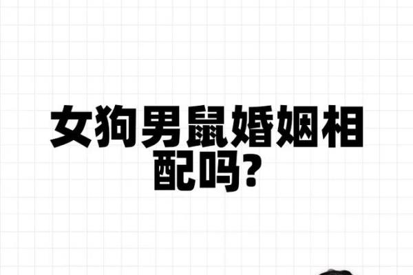 属狗女与属猪男的爱情是否长久