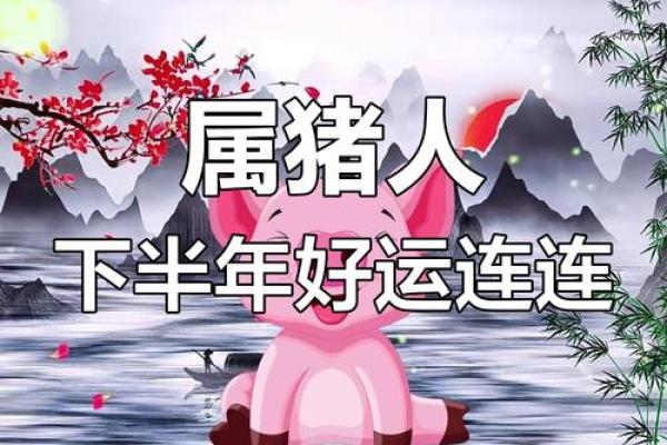 本命年猪女的财富运如何提升