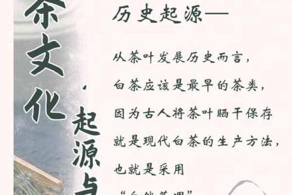 史的名字与时代变迁的完美融合