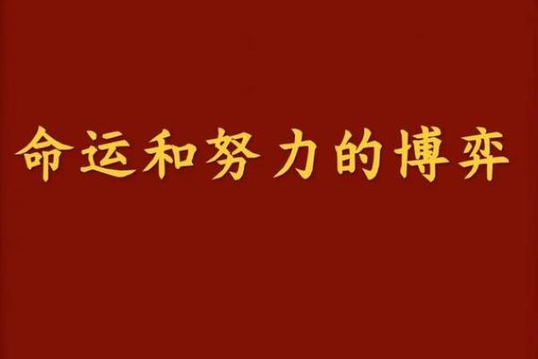 个人努力与命运之间的真实关系