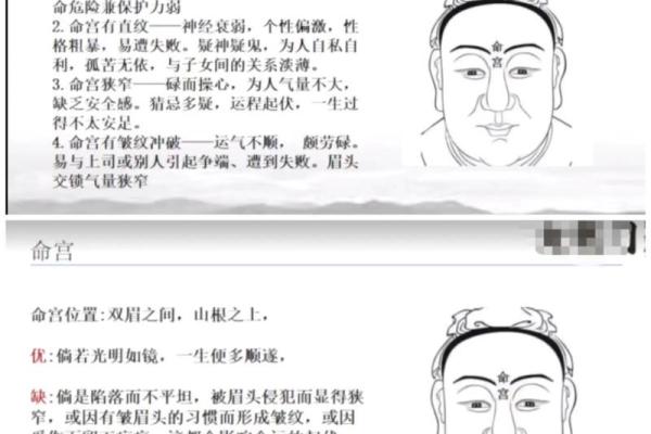 宫命的定义与深层含义解析