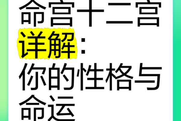 宫命的定义与深层含义解析