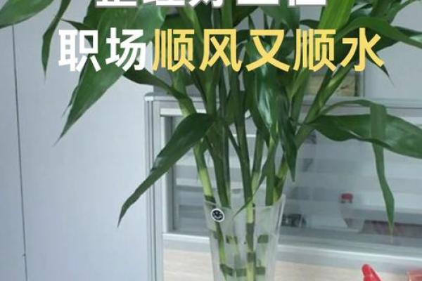 提升职场运势的办公室书柜风水摆件推荐
