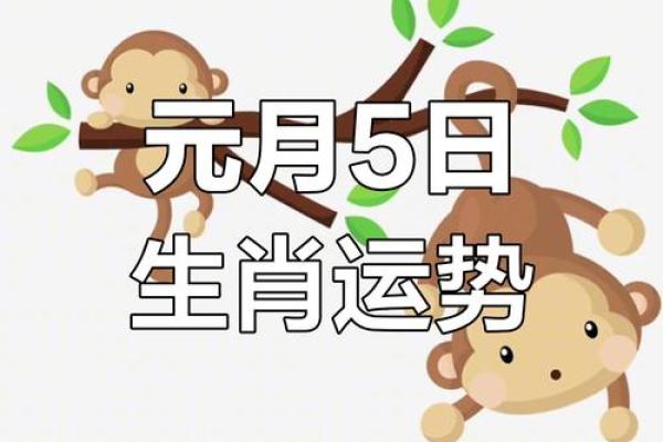 兔年运程与幸运数字推荐